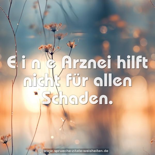 E i n e Arznei hilft nicht für allen Schaden.