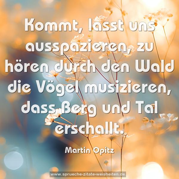 Kommt, lasst uns ausspazieren, zu hören durch den Wald die Vögel musizieren, dass Berg und Tal erschallt.