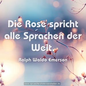 Die Rose spricht alle Sprachen der Welt.