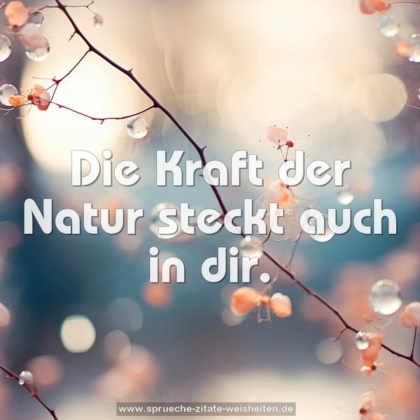 Die Kraft der Natur steckt auch in dir.