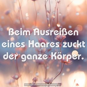 Beim Ausreißen eines Haares
zuckt der ganze Körper.
