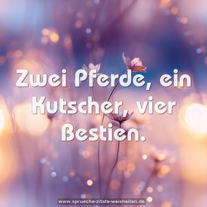 Zwei Pferde, ein Kutscher, vier Bestien.