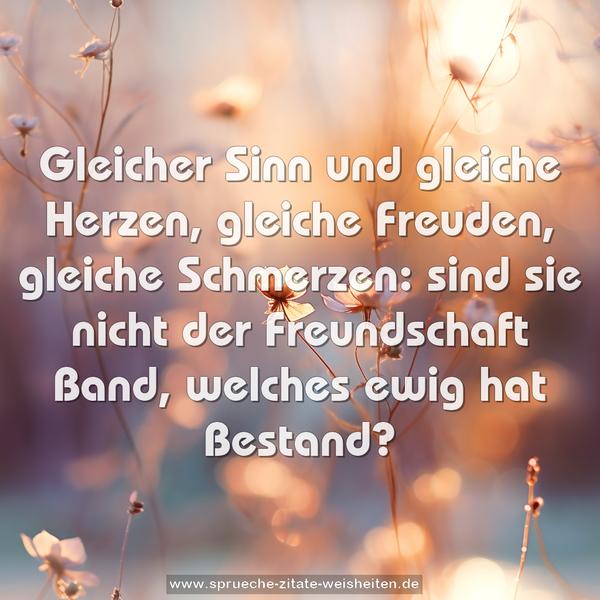 Gleicher Sinn und gleiche Herzen,
gleiche Freuden, gleiche Schmerzen:
sind sie nicht der Freundschaft Band,
welches ewig hat Bestand?