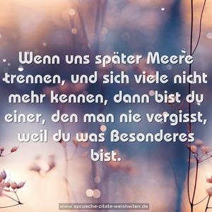 Wenn uns später Meere trennen,
und sich viele nicht mehr kennen,
dann bist du einer, den man nie vergisst,
weil du was Besonderes bist.