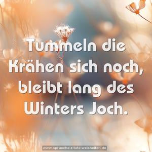 Tummeln die Krähen sich noch,
bleibt lang des Winters Joch.