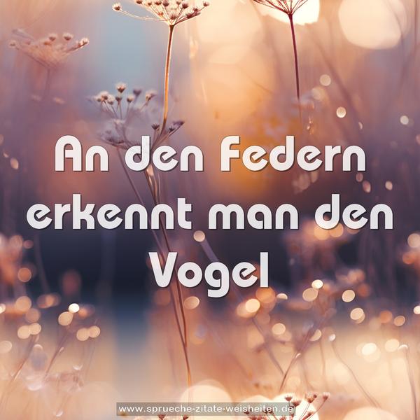 An den Federn erkennt man den Vogel