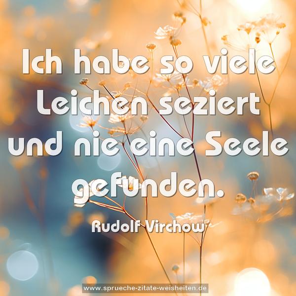 Ich habe so viele Leichen seziert und nie eine Seele gefunden.