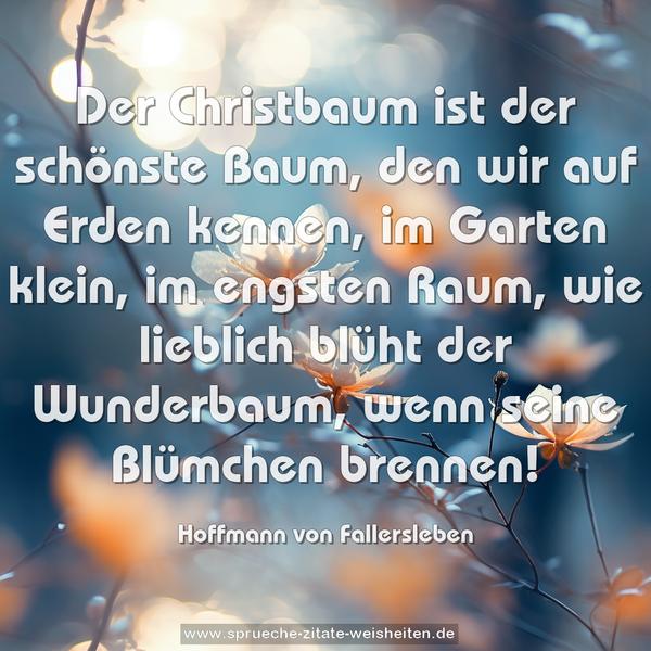 Der Christbaum ist der schönste Baum,
den wir auf Erden kennen,
im Garten klein, im engsten Raum,
wie lieblich blüht der Wunderbaum,
wenn seine Blümchen brennen!