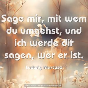 Sage mir, mit wem du umgehst,
und ich werde dir sagen, wer er ist.