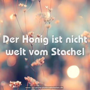 Der Honig ist nicht weit vom Stachel