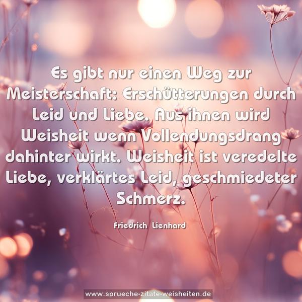 Es gibt nur einen Weg zur Meisterschaft:
Erschütterungen durch Leid und Liebe. Aus ihnen wird Weisheit wenn Vollendungsdrang dahinter wirkt. Weisheit ist veredelte Liebe, verklärtes Leid, geschmiedeter Schmerz.