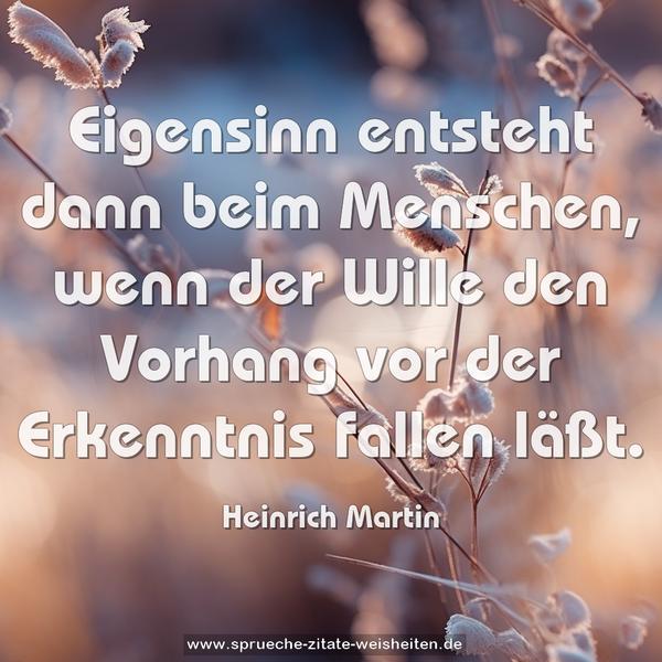 Eigensinn entsteht dann beim Menschen,
wenn der Wille den Vorhang vor der Erkenntnis fallen läßt.