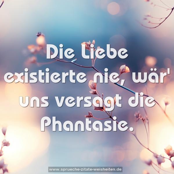Die Liebe existierte nie,
wär' uns versagt die Phantasie.