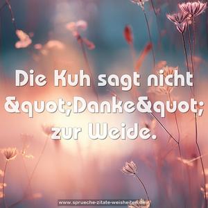 Die Kuh sagt nicht &quot;Danke&quot; zur Weide.