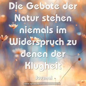 Die Gebote der Natur
stehen niemals im Widerspruch zu denen der Klugheit