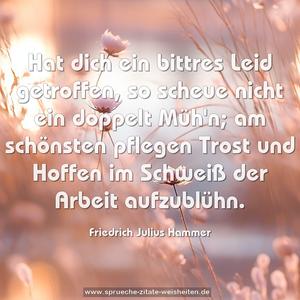 Hat dich ein bittres Leid getroffen,
so scheue nicht ein doppelt Müh'n;
am schönsten pflegen Trost und Hoffen
im Schweiß der Arbeit aufzublühn.