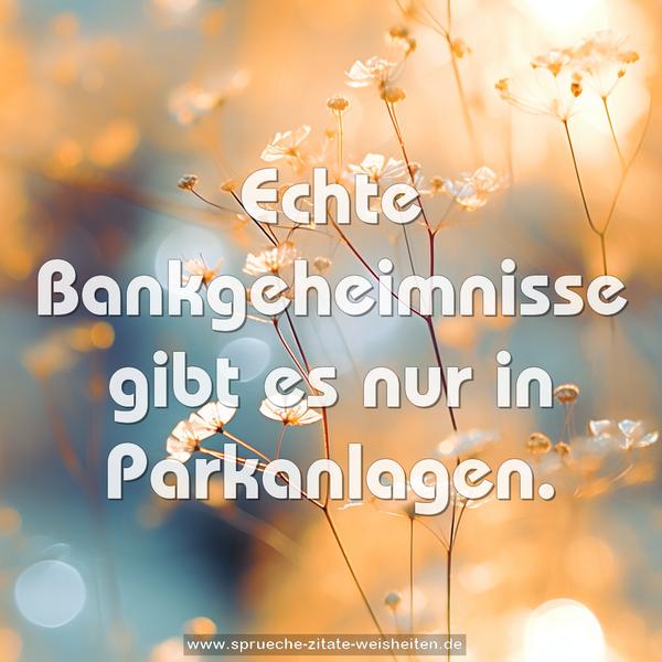 Echte Bankgeheimnisse gibt es nur in Parkanlagen. 