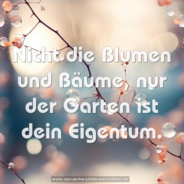 Nicht die Blumen und Bäume, nur der Garten ist dein Eigentum.