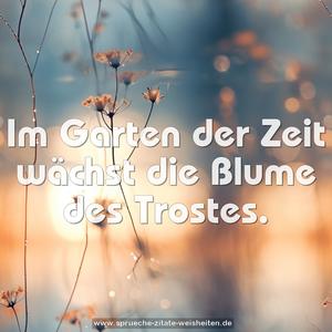 Im Garten der Zeit
wächst die Blume des Trostes.