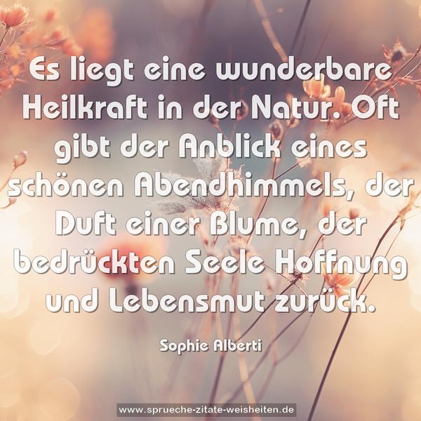 Es liegt eine wunderbare Heilkraft in der Natur.
Oft gibt der Anblick eines schönen Abendhimmels,
der Duft einer Blume,
der bedrückten Seele Hoffnung und Lebensmut zurück.