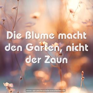 Die Blume macht den Garten, nicht der Zaun