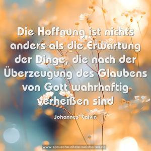 Die Hoffnung ist nichts anders als die Erwartung der Dinge, die nach der Überzeugung des Glaubens von Gott wahrhaftig verheißen sind