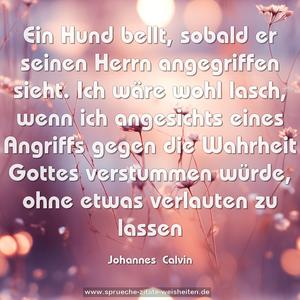 Ein Hund bellt, sobald er seinen Herrn angegriffen sieht.
Ich wäre wohl lasch, wenn ich angesichts eines Angriffs gegen die Wahrheit Gottes verstummen würde, ohne etwas verlauten zu lassen