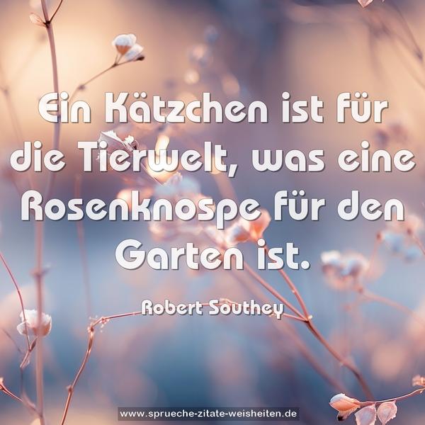 Ein Kätzchen ist für die Tierwelt,
was eine Rosenknospe für den Garten ist.
