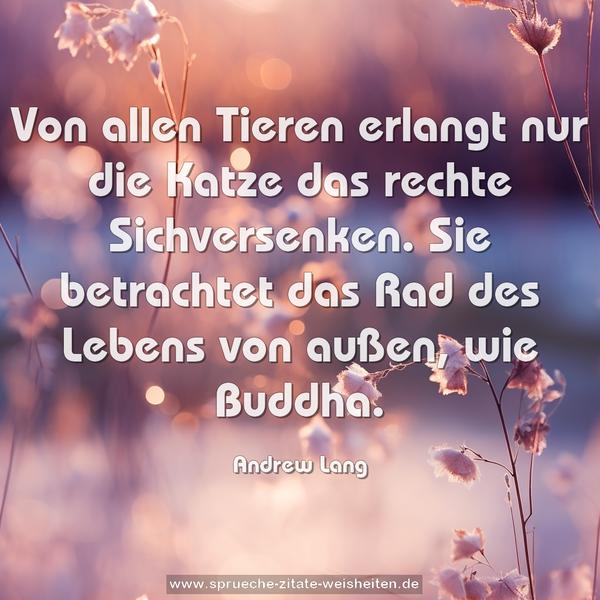 Von allen Tieren erlangt nur die Katze das rechte Sichversenken.
Sie betrachtet das Rad des Lebens von außen, wie Buddha.