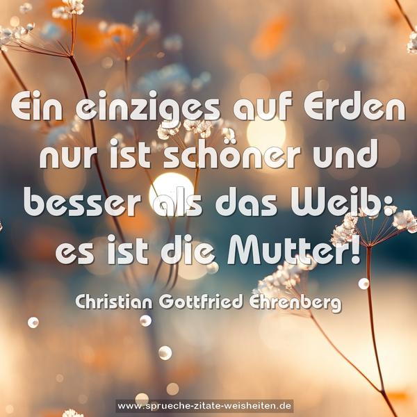 Ein einziges auf Erden nur ist schöner
und besser als das Weib: es ist die Mutter!