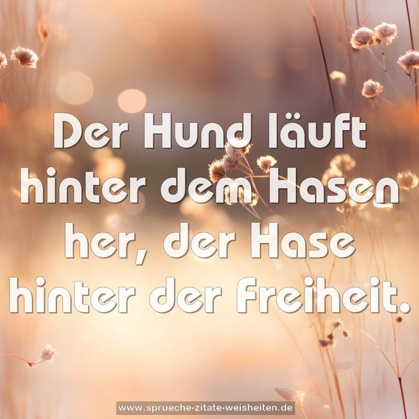 Der Hund läuft hinter dem Hasen her,
der Hase hinter der Freiheit.
