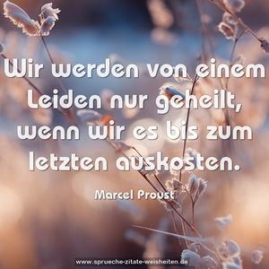Wir werden von einem Leiden nur geheilt,
wenn wir es bis zum letzten auskosten.