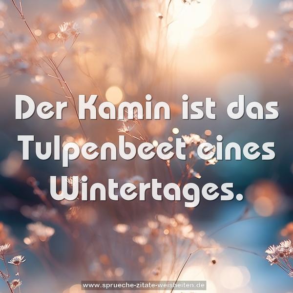 Der Kamin ist das Tulpenbeet eines Wintertages.