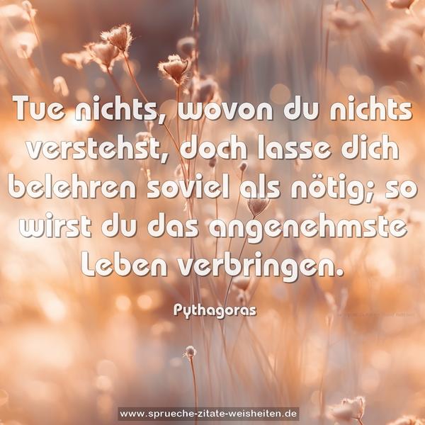 Tue nichts, wovon du nichts verstehst,
doch lasse dich belehren soviel als nötig;
so wirst du das angenehmste Leben verbringen.