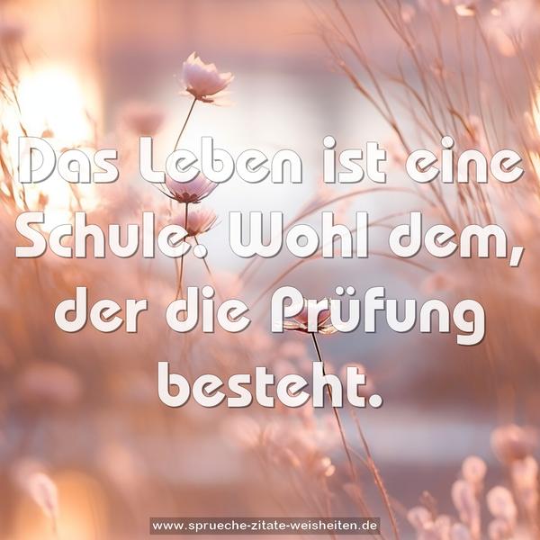 Das Leben ist eine Schule.
Wohl dem, der die Prüfung besteht.
