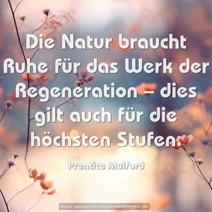 Die Natur braucht Ruhe für das Werk der Regeneration –
dies gilt auch für die höchsten Stufen.