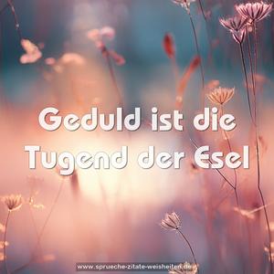 Geduld ist die Tugend der Esel
