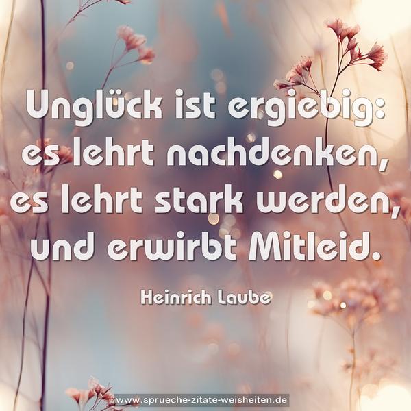Unglück ist ergiebig:
es lehrt nachdenken,
es lehrt stark werden,
und erwirbt Mitleid.