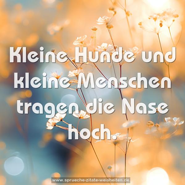 Kleine Hunde und kleine Menschen
tragen die Nase hoch.