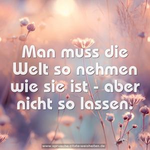 Man muss die Welt so nehmen wie sie ist -
aber nicht so lassen.