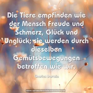 Die Tiere empfinden wie der Mensch Freude und Schmerz,
Glück und Unglück;
sie werden durch dieselben Gemütsbewegungen betroffen wie wir.