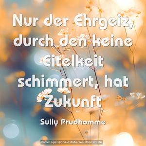 Nur der Ehrgeiz, 
durch den keine Eitelkeit schimmert, 
hat Zukunft