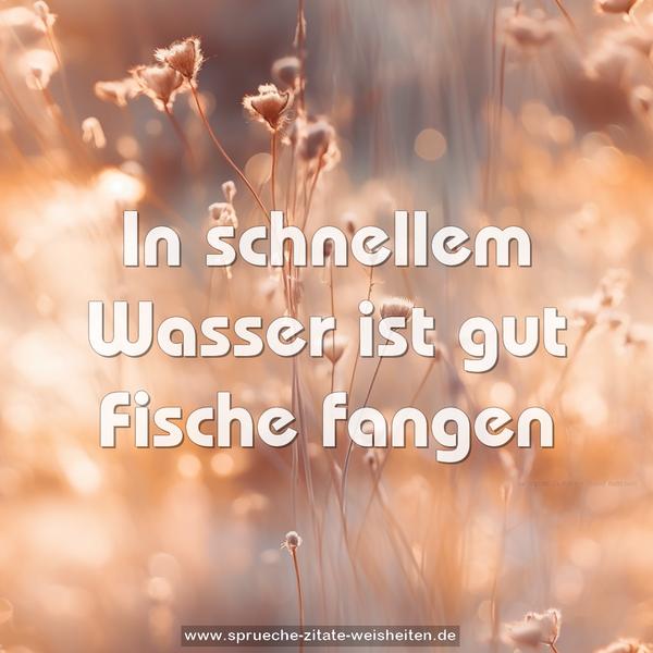 In schnellem Wasser ist gut Fische fangen