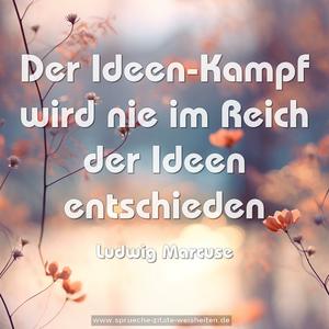Der Ideen-Kampf wird nie im Reich der Ideen entschieden