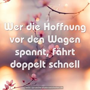 Wer die Hoffnung vor den Wagen spannt, 
fährt doppelt schnell 