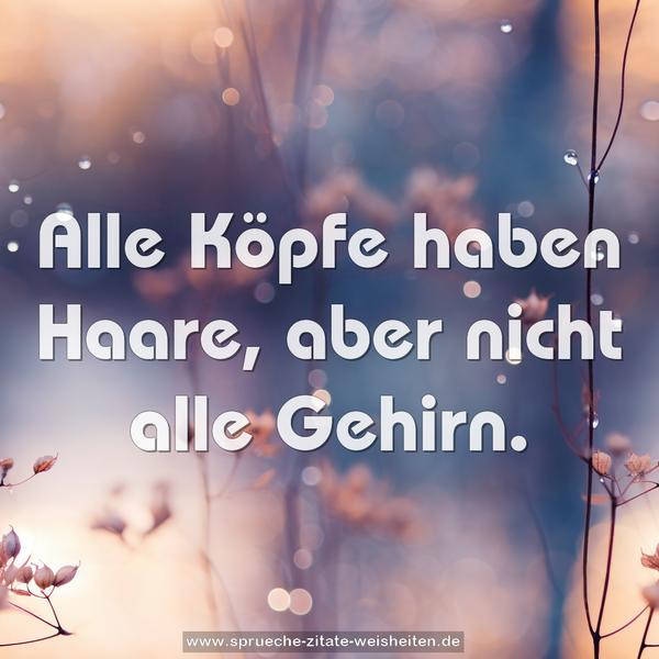 Alle Köpfe haben Haare, aber nicht alle Gehirn.