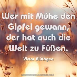 Wer mit Mühe den Gipfel gewann,
der hat auch die Welt zu Füßen.