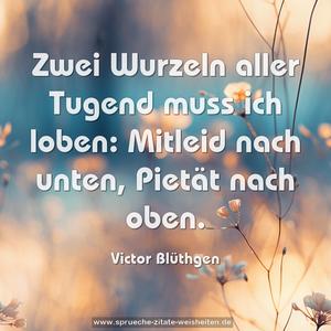 Zwei Wurzeln aller Tugend muss ich loben:
Mitleid nach unten, Pietät nach oben.