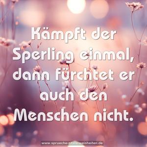 Kämpft der Sperling einmal,
dann fürchtet er auch den Menschen nicht.