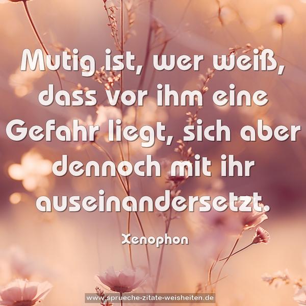 Mutig ist, wer weiß,
dass vor ihm eine Gefahr liegt,
sich aber dennoch mit ihr auseinandersetzt.

